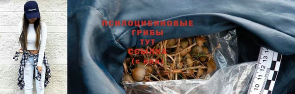 молекула духа Абинск