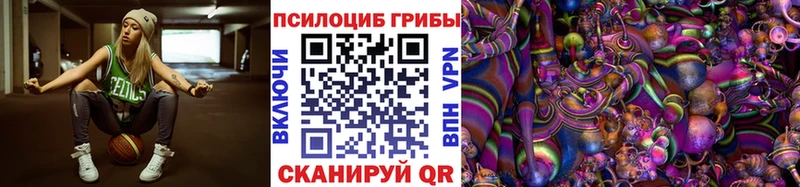 купить   МЕГА ONION  Псилоцибиновые грибы Psilocybine cubensis  Кашира 