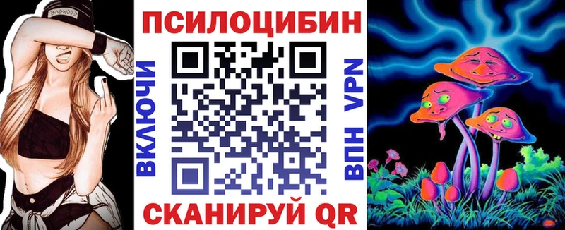 Псилоцибиновые грибы Psilocybe Кашира