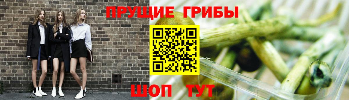 Галлюциногенные грибы GOLDEN TEACHER Кашира