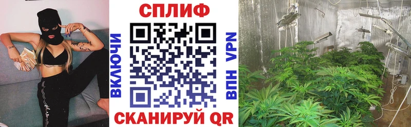 Каннабис AK-47  Кашира 